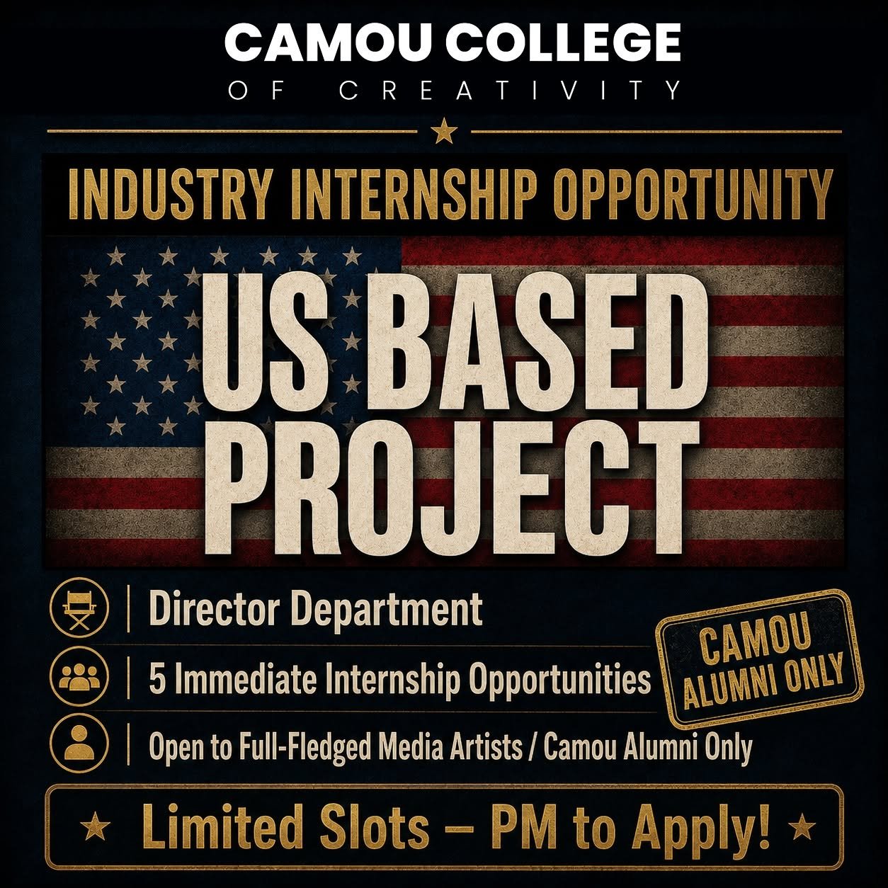 US-Based Project Internship Opportunity at Camou College of Creativity – photo 1