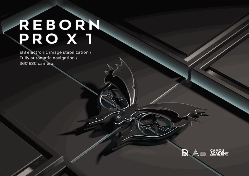 Fyp 20b Reborn Productposter